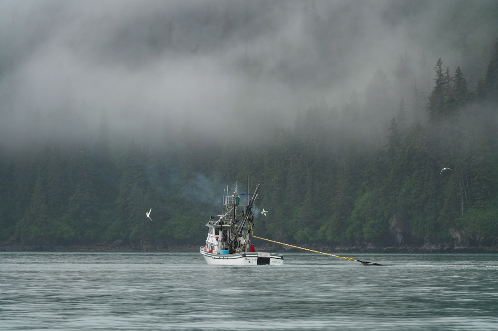 A fishing boat working a fog-shrouded, forest-lined bay on the north coast
