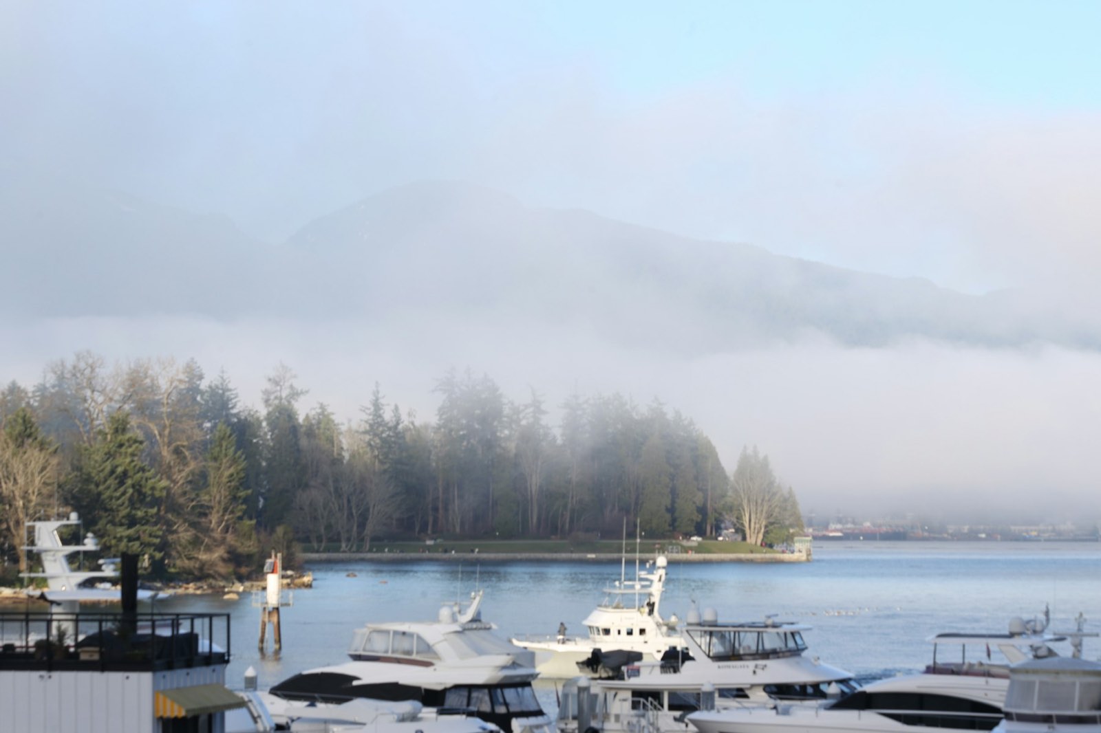 A marina in soft fog with forested mountains behind