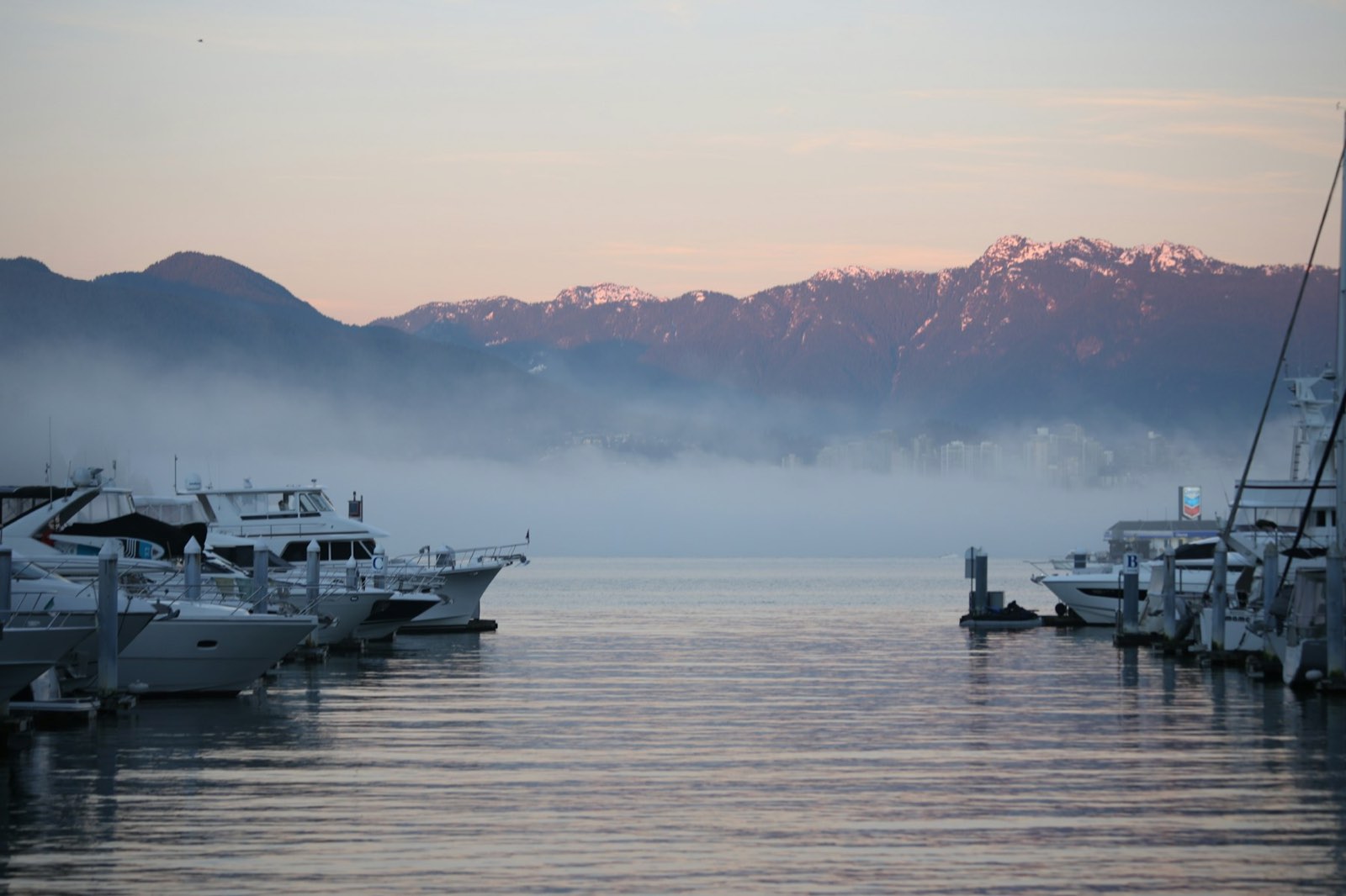 A quiet harbour under morning fog with coastal mountains behind